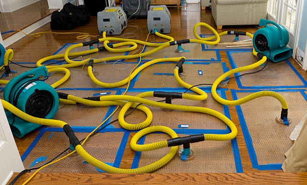 Professional Structural Drying And Dehumidification technician working in North Falmouth, MA